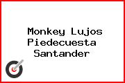 Monkey Lujos Piedecuesta Santander
