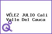 VÉLEZ JULIO Cali Valle Del Cauca