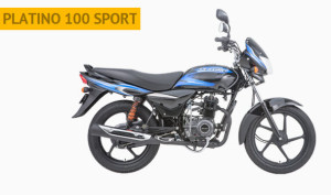 Ficha tecnica y precio Boxer platino Sport