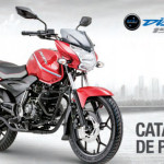 Moto Bajaj Discover 150ST manual de despiece para mecanicos