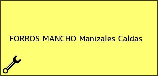 Teléfono, Dirección y otros datos de contacto para FORROS MANCHO, Manizales, Caldas, Colombia