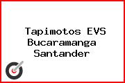 Tapimotos EVS Bucaramanga Santander