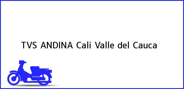 Teléfono, Dirección y otros datos de contacto para TVS ANDINA, Cali, Valle del Cauca, Colombia