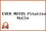 EVER MOTOS Pitalito Huila