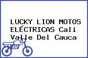 LUCKY LION MOTOS ELÉCTRICAS Cali Valle Del Cauca