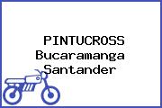 PINTUCROSS Bucaramanga Santander