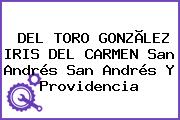 DEL TORO GONZÃLEZ IRIS DEL CARMEN San Andrés San Andrés Y Providencia