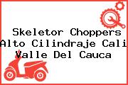 Skeletor Choppers Alto Cilindraje Cali Valle Del Cauca