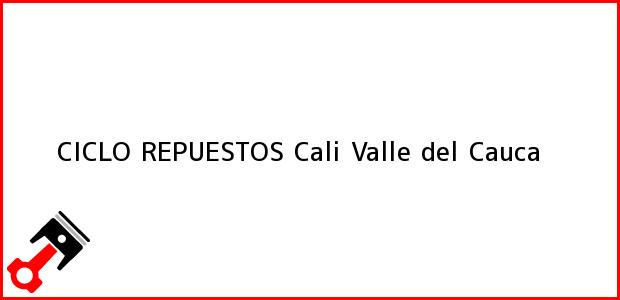 Teléfono, Dirección y otros datos de contacto para CICLO REPUESTOS, Cali, Valle del Cauca, Colombia