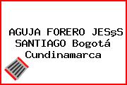 AGUJA FORERO JESºS SANTIAGO Bogotá Cundinamarca