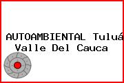 AUTOAMBIENTAL Tuluá Valle Del Cauca