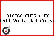 BICICAUCHOS ALFA Cali Valle Del Cauca