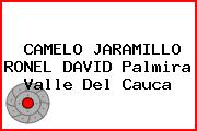 CAMELO JARAMILLO RONEL DAVID Palmira Valle Del Cauca
